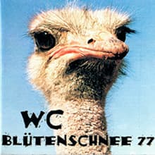 WC - Blütenschnee 77